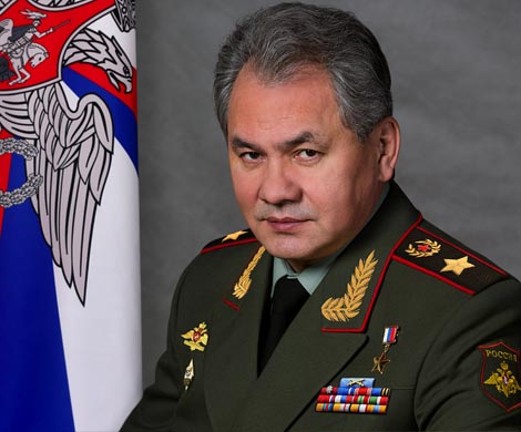 Шойгу собрался «дойти до Евфрата» 