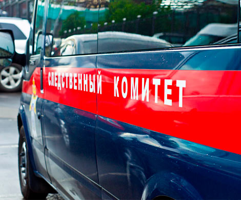 СК проверит информацию о ребенке, сломавшем зубы на детской площадке в Старой Руссе