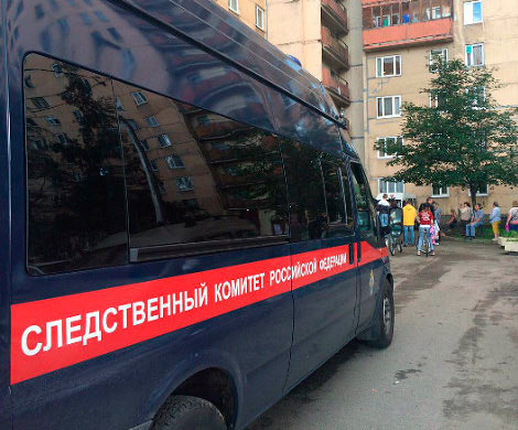 СК проверяет сообщения о воспитании младенца секс-игрушками в Москве‍