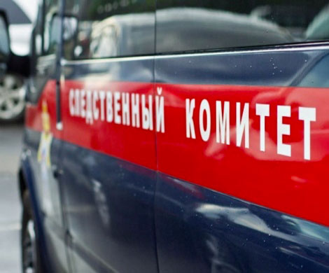 СК выясняет обстоятельства гибели ребенка в Челябинске‍