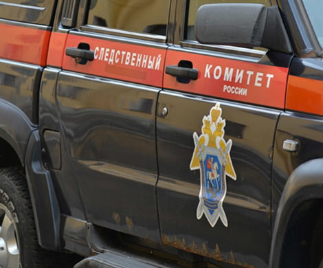 СК Хабаровска проверит информацию о гибели 49 человек от холодов‍