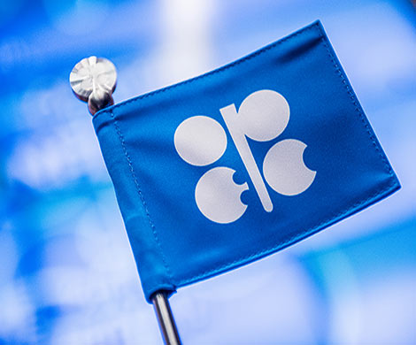 СМИ узнали, сколько РФ заработала на переговорах с ОПЕК