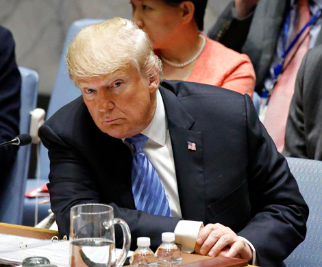 СМИ заподозрили Трампа в мошенничестве с деньгами родителей