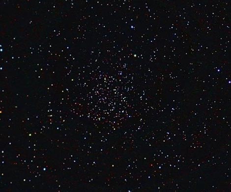 Созерцание звездопада в Казахстане закончилось массовой оргией