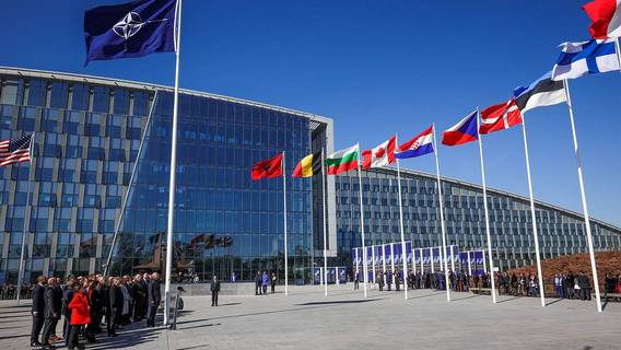 США и Германия мешают продвижению заявки Украины на вступление в НАТО