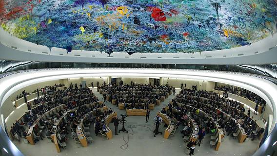 США снова стали членом противоречивого Совета ООН по правам человека