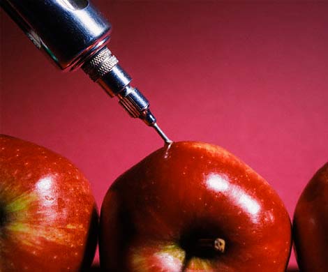 Сторонники продуктов с ГМО утверждают, что такая пища спасет человечество