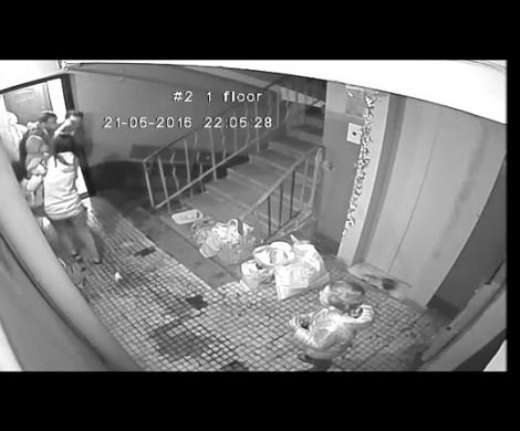 Сын главы орловской ТПП жестоко избил мужчину и женщину на глазах у своих детей