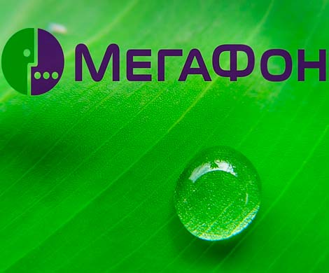 Таджикистан потребовал от «МегаФона» более 620 миллионов рублей