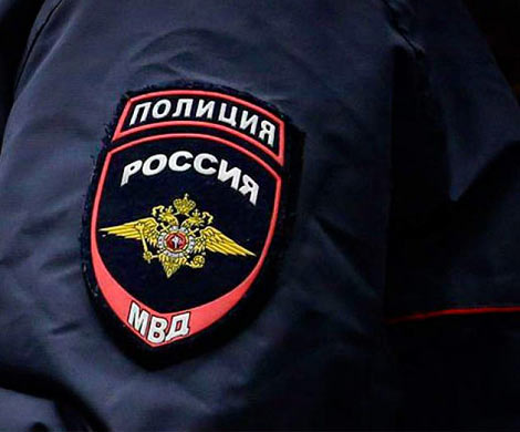Тело мужчины с кирпичом в голове нашли в Гатчинском районе Ленобласти