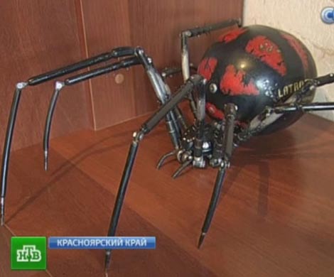 Терминатор вдохновил сибиряка на создание скульптур из металлолома