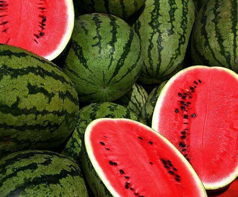 ТОП-14 продуктов для здоровья почек