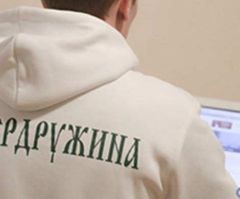 Тотальный контроль?: в России могут появиться кибердружины