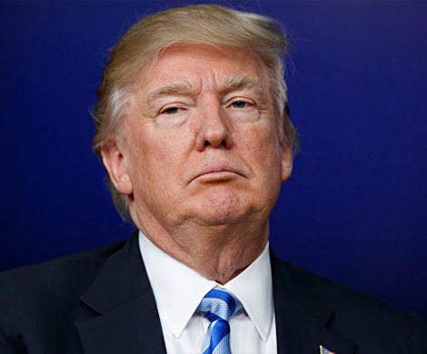 Трамп обсуждал с юристом условия выкупа откровений модели Playboy