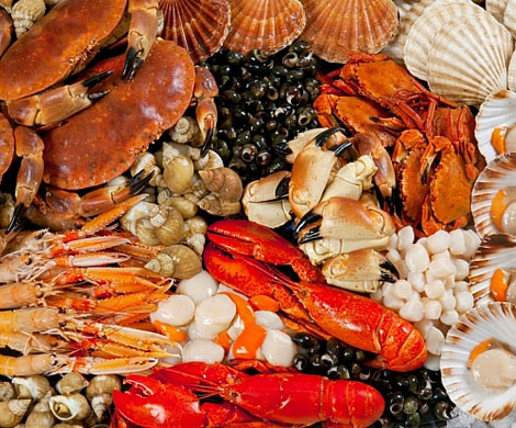 Ученые: Морепродукты продлевают человеческую жизнь