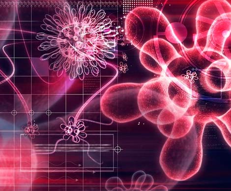 Ученые уверены, что между эпидемиями и эволюцией связи нет