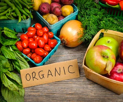 Ученые: В органических продуктах на 20% больше антиоксидантов