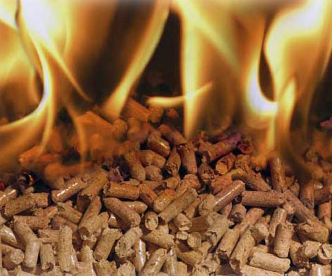 Ученый из Обнинска предложил проект по переработке мусора в газовое топливо