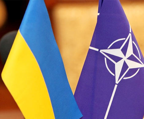 Киев тащит Украину в НАТО