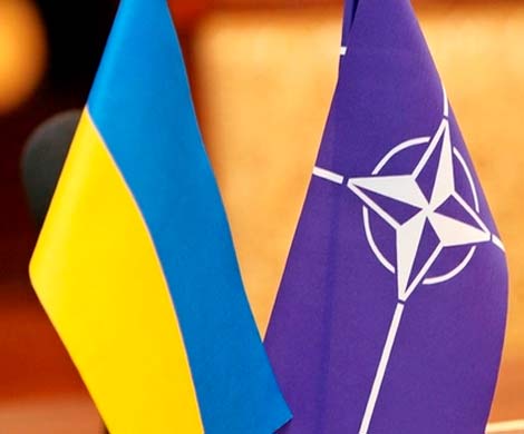 Украина решила присоединиться к НАТО