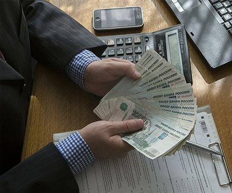 Ульяновск: нашли садоводов-вредителей.