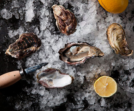 UMI Oysters: обновленная коллекция устриц!