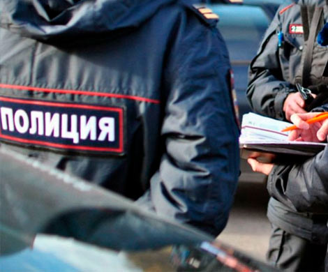 Установлена личность красноярского живодера, обезглавившего собаку.