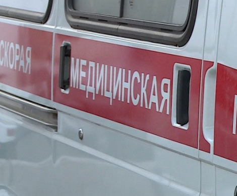 В аварии на кольцевой у съезда в Колтуши погибла 10-летняя девочка‍