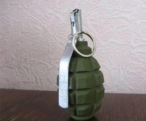 В аэропорту Иркутска задержан пассажир с боевой гранатой