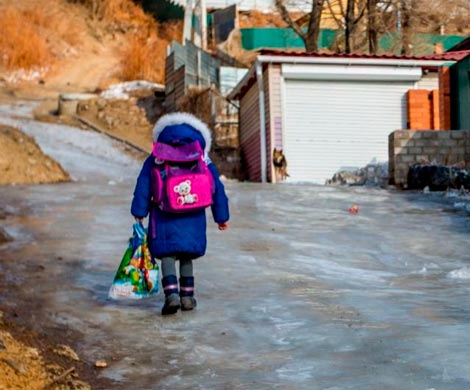 В Биробиджане домой из школы не вернулась 10-летняя девочка