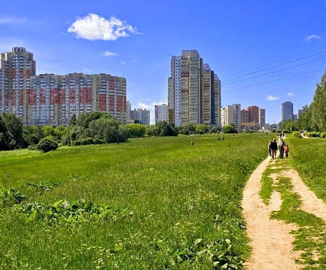 В Битцевском лесу выявлена незаконная стройка