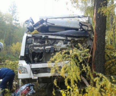 В Бурятии самосвал разбился об дерево