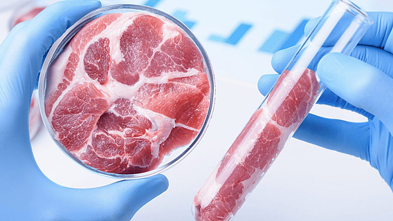 В фокусе искусственное мясо. Разговоры с представителями Meatable, Finless Foods и New Age Meats
