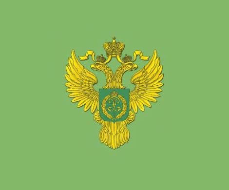 В Генпрокуратуре и WWF заявили о неэффективности Рослесхоза