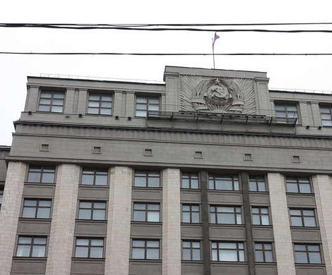 В Госдуме осудили карикатуру на няню-убийцу