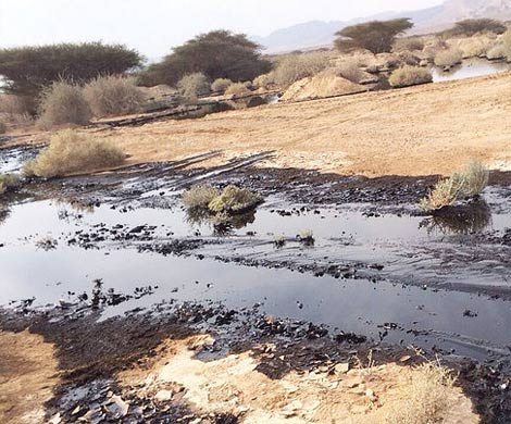 Заповедник в Израиле залило нефтью