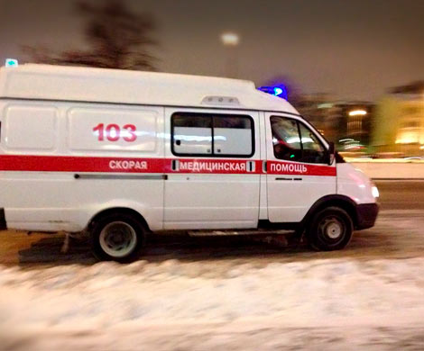 В Кемерове студентка сломала позвоночник, упав с дерева