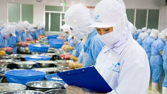 В Китае впервые в мире обнаружен коронавирус на упаковке пищевых продуктов холодильной цепи