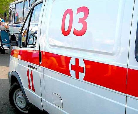 В Ленобласти иномарка влетела в дерево, погибла женщина