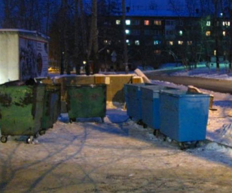 В Ленобласти в мусорном баке нашли труп недоношенного младенца‍