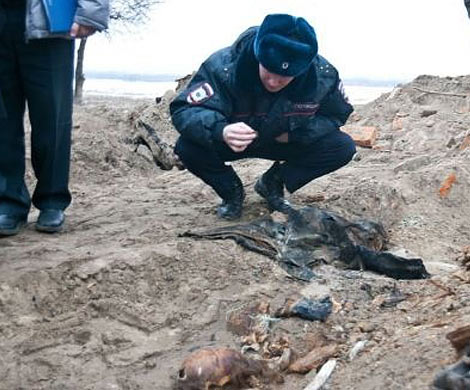В лесу под Тосно в Ленобласти нашли скелет в свитере