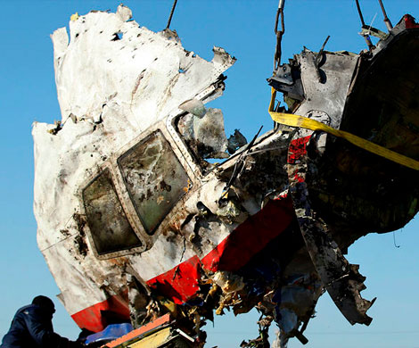 В МИД РФ заявили о попытке Нидерландов скрыть данные о крушении MH17