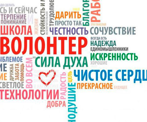 В Москве открыта Школа волонтеров