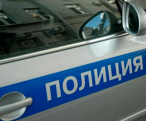 В Москве пенсионерка на собачьей упряжке попала под колеса машины полиции
