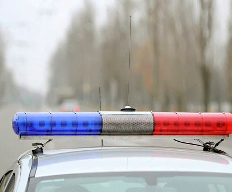 В Нарымском сквере Новосибирска нашли изрезанный труп