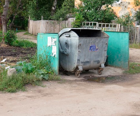 В Нижнем Новгороде в мусорном баке нашли труп младенца