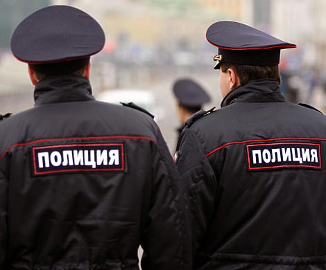 В Новокузнецке неизвестные убили сторожевую собаку дротиком в глаз‍