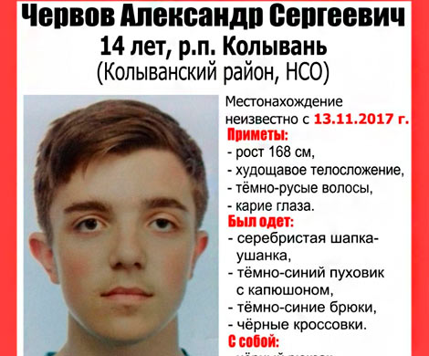 В Новосибирской области пропал 14-летний подросток в серебристой шапке