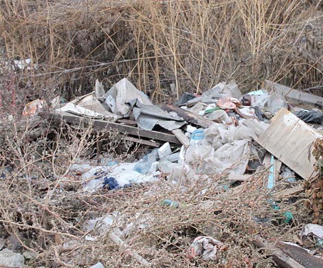 В Пензе на свалке обнаружили тело новорожденного