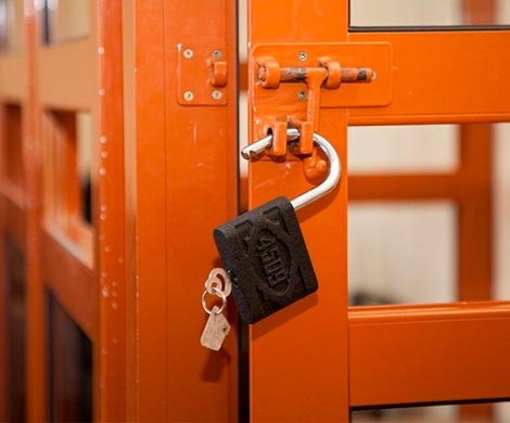 В Перми будут судить маньяка, соблазнявшего жертв песнями Наташи Королевой